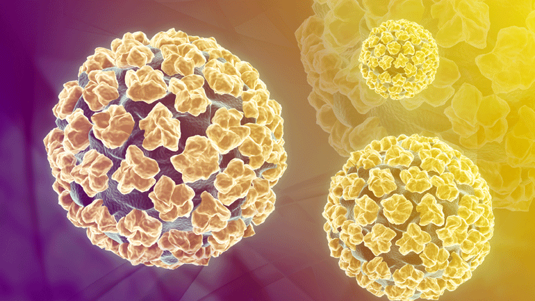 Νέα στοιχεία για τον τρόπο μετάδοσης του HPV